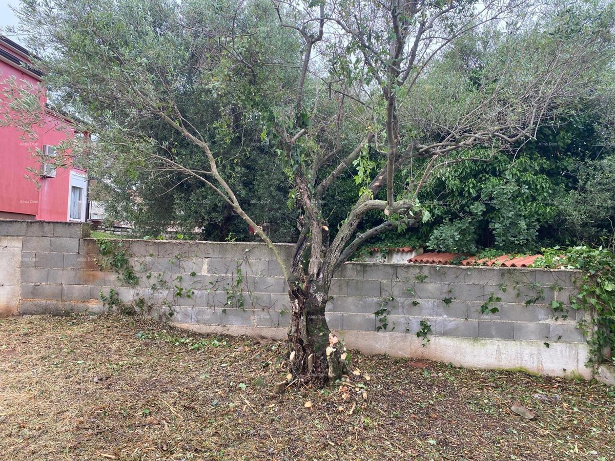 Terreno edificabile Tar