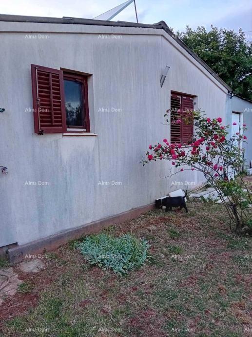 Marčana – Casa con uliveto