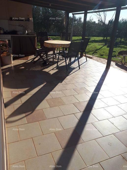 Marčana – Casa con uliveto