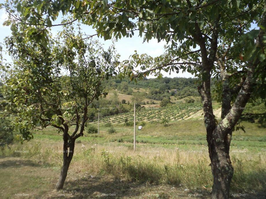 Terreno edificabile Poreč