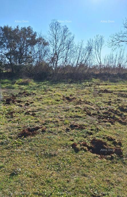 Terreno edificabile 650 m² – Marčana, Istria