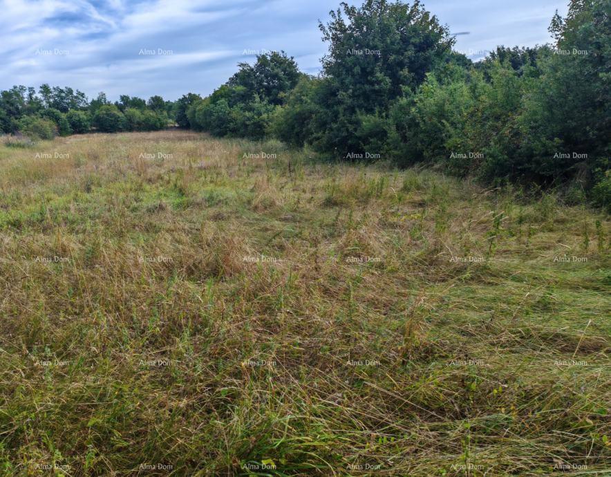 Terreno edificabile di 1.600 m² vicino a Svetvinčenti