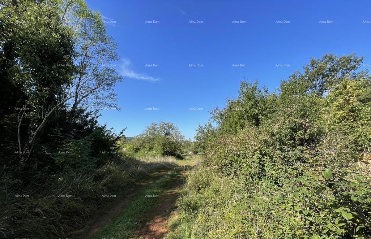 Vendita - casa in pietra da ristrutturare con ampio terreno, Oprtalj!