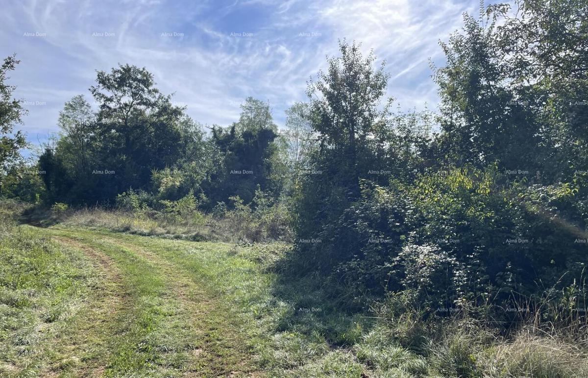 Vendita - casa in pietra da ristrutturare con ampio terreno, Oprtalj!