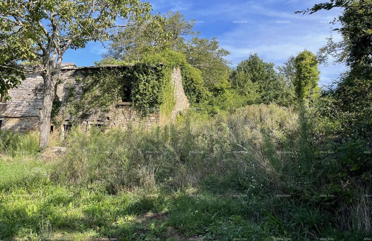 Vendita - casa in pietra da ristrutturare con ampio terreno, Oprtalj!