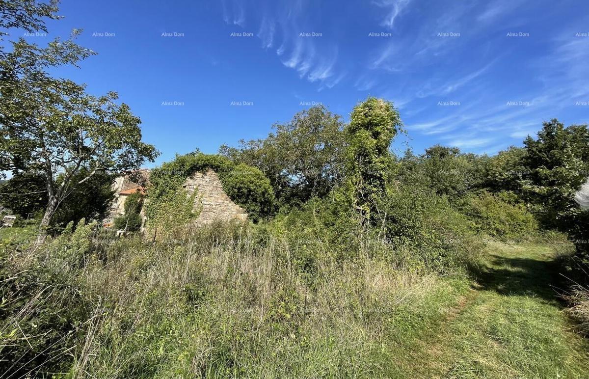 Vendita - casa in pietra da ristrutturare con ampio terreno, Oprtalj!