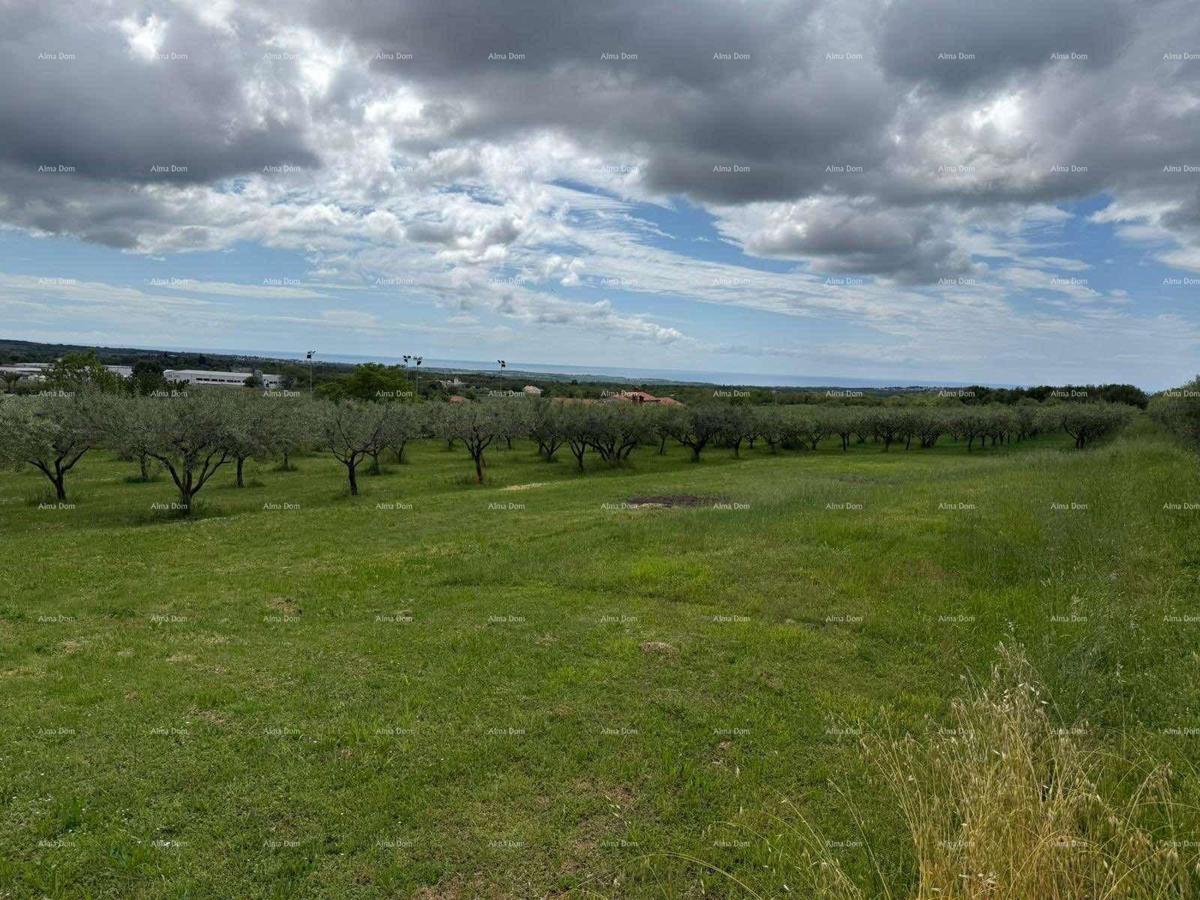 PARCELLA EDILIZIA CON VISTA MARE – LABINCI