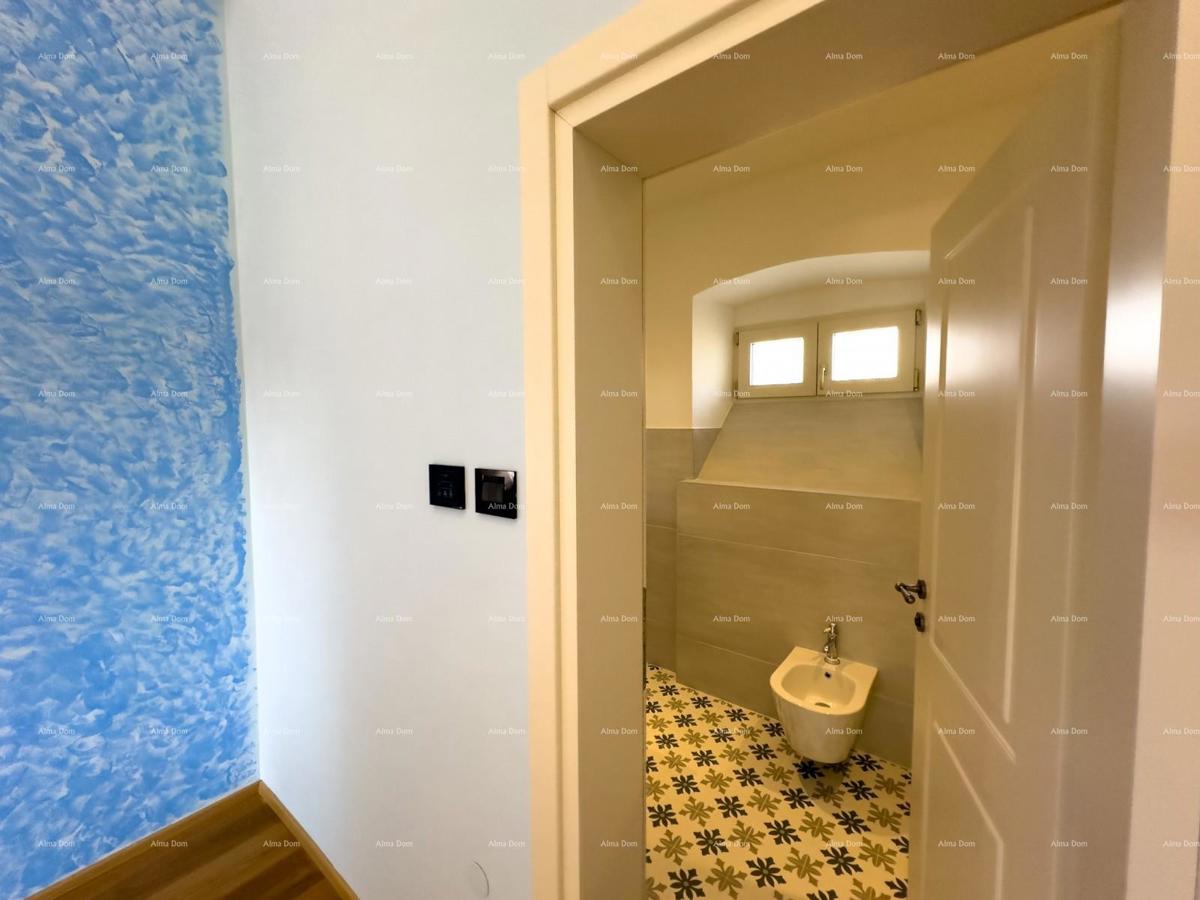 The translation of   Istra  Barban