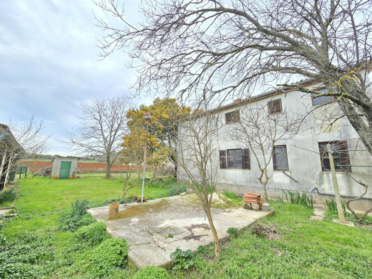 Casa spaziosa vicino a Pola! Due appartamenti - 2500 m² di terreno!