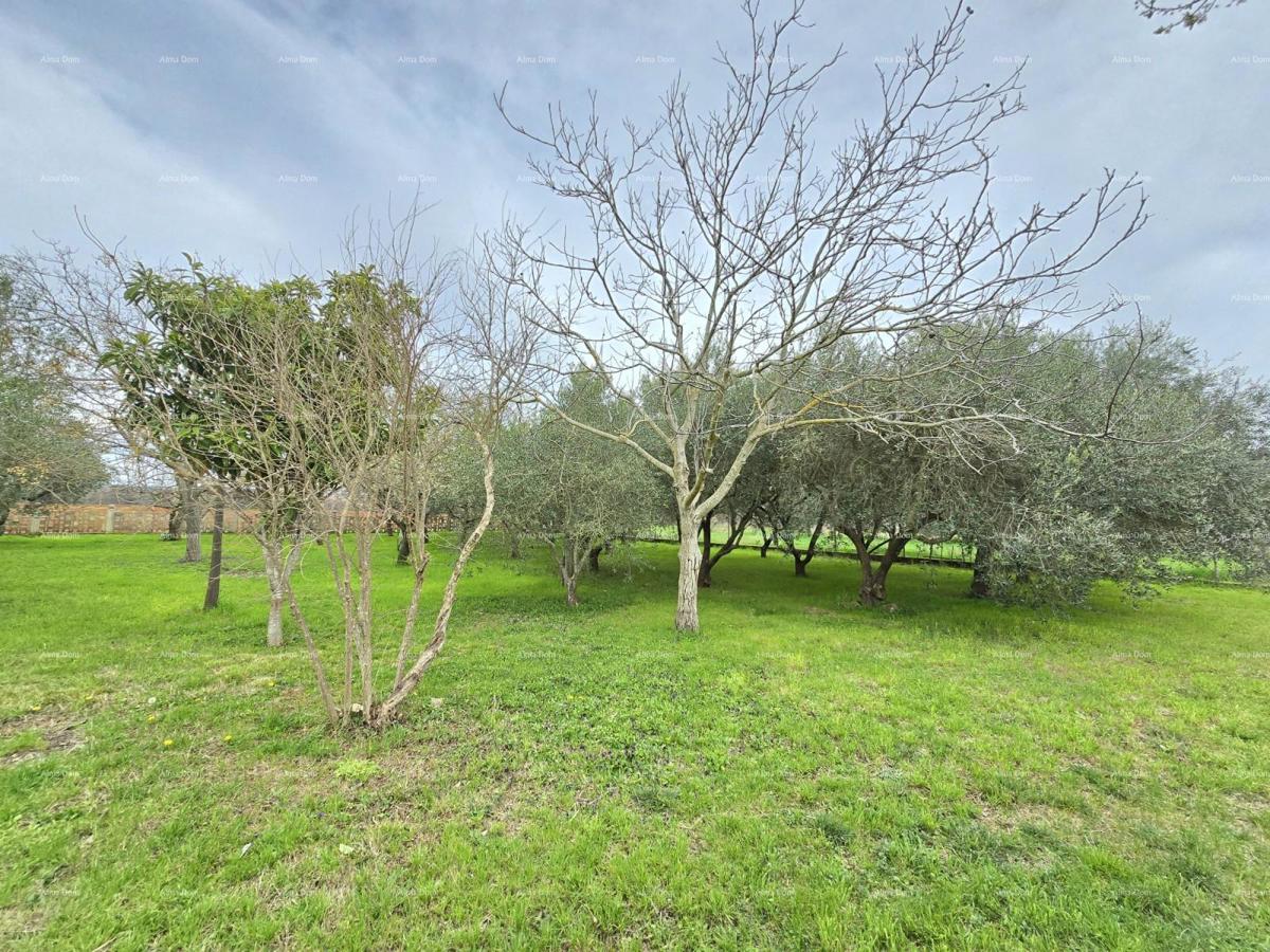 Casa spaziosa vicino a Pola! Due appartamenti - 2500 m² di terreno!