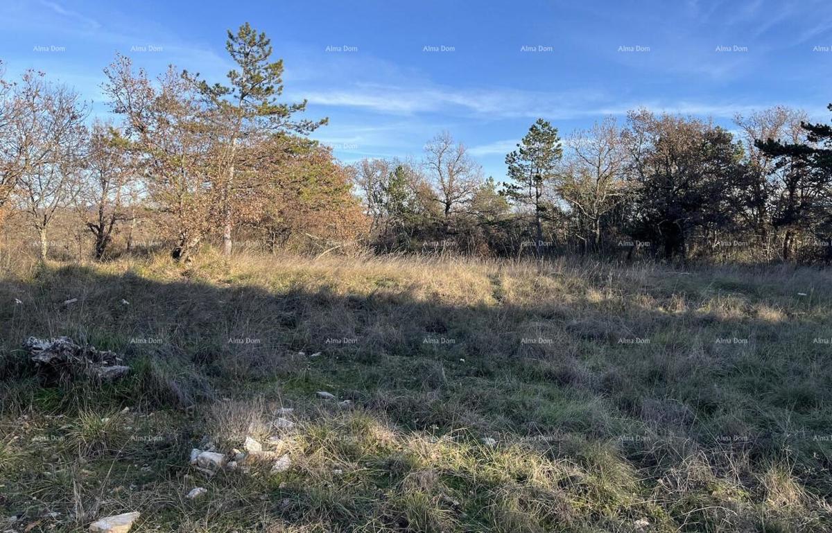 Jurcanija, Buje. Terreno edificabile con vista panoramica