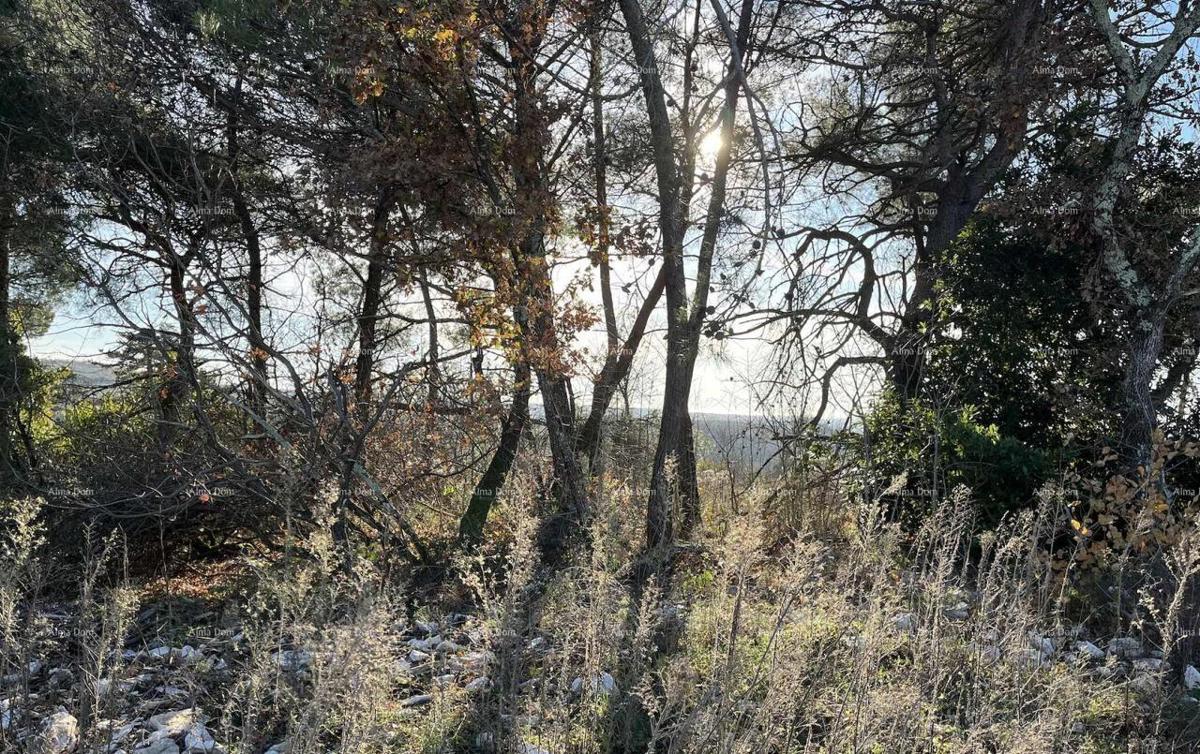 Jurcanija, Buje. Terreno edificabile con vista panoramica