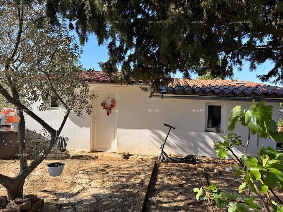 Vodnjan, Prizemnica con giardino