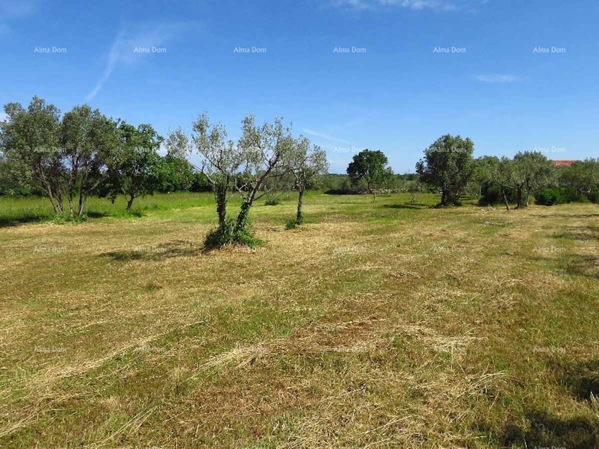 Il terreno agriciolo a Peroi