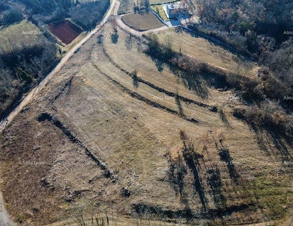 Terreno edificabile Pazin