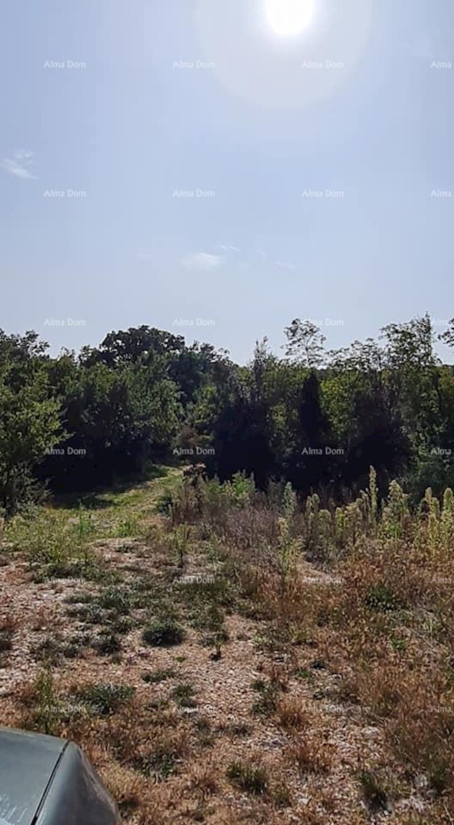 Terreno agricolo in vendita, vicino a Labin