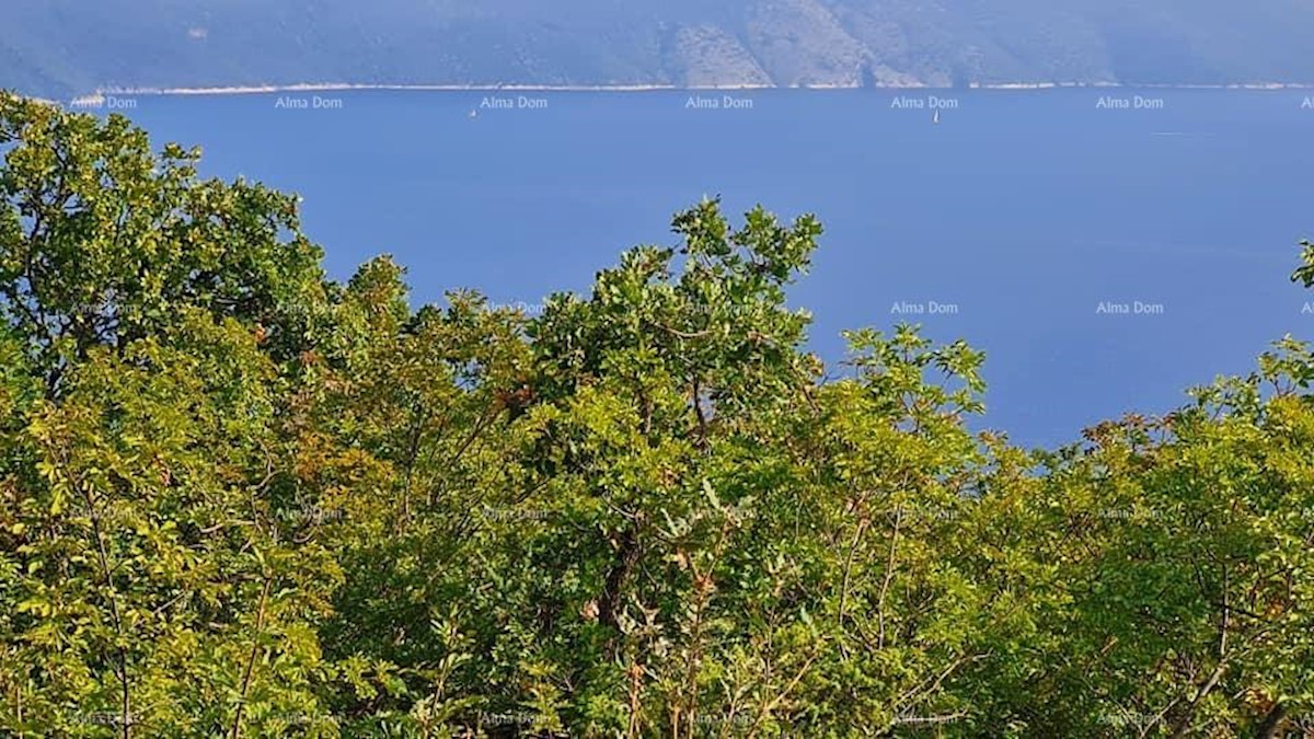 Terreno agricolo in vendita, vicino a Labin