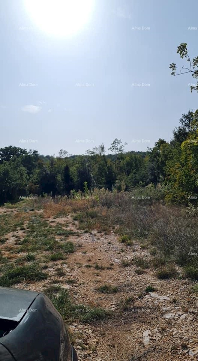 Terreno agricolo in vendita, vicino a Labin