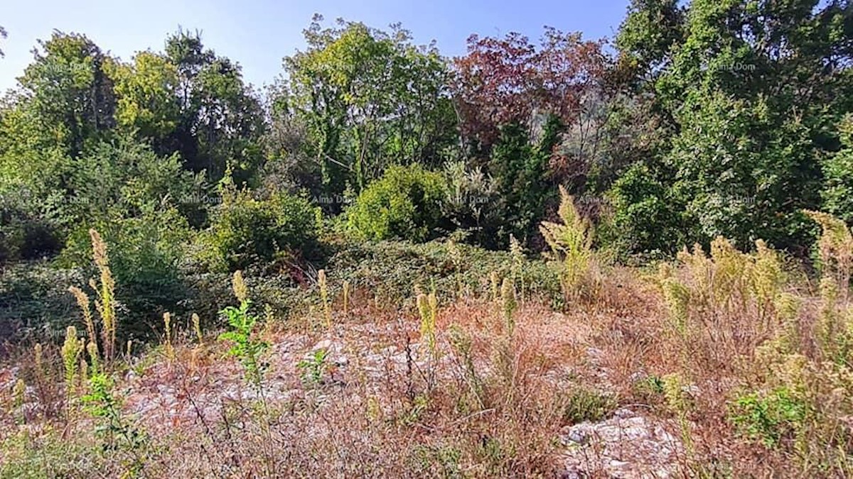 Terreno agricolo in vendita, vicino a Labin