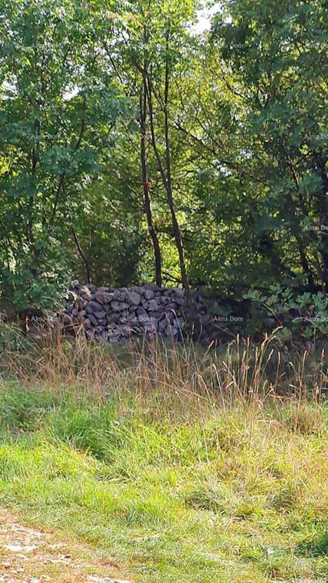 Terreno agricolo in vendita, vicino a Labin