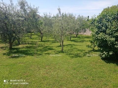 Casa in vendita, Medolino