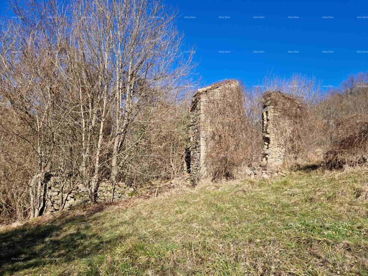 Grande proprietà in vendita nell'Istria centrale, Pisino!