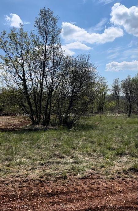 Terreno edificabile Tinjan