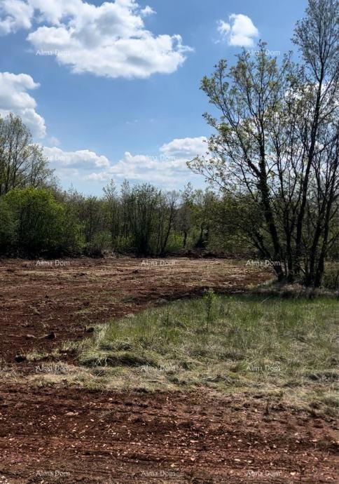 Terreno edificabile Tinjan