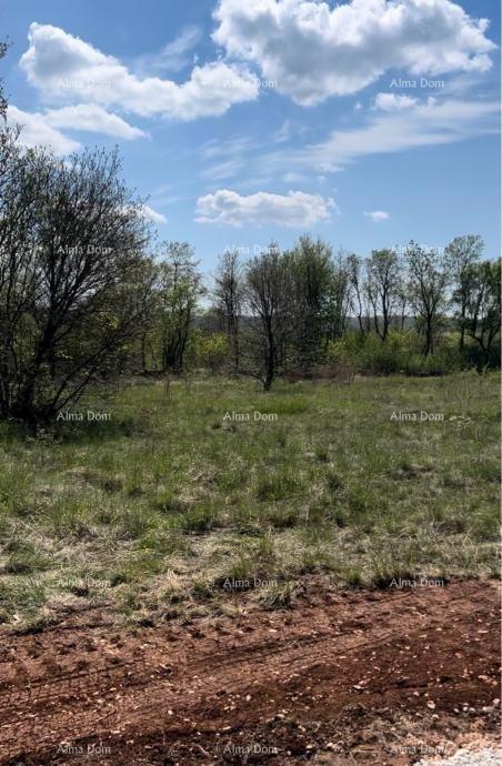 Terreno edificabile Tinjan