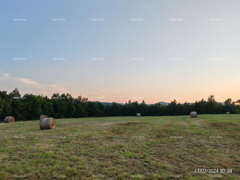 Terreno edificabile 1.650 m² - Buzet, Istria