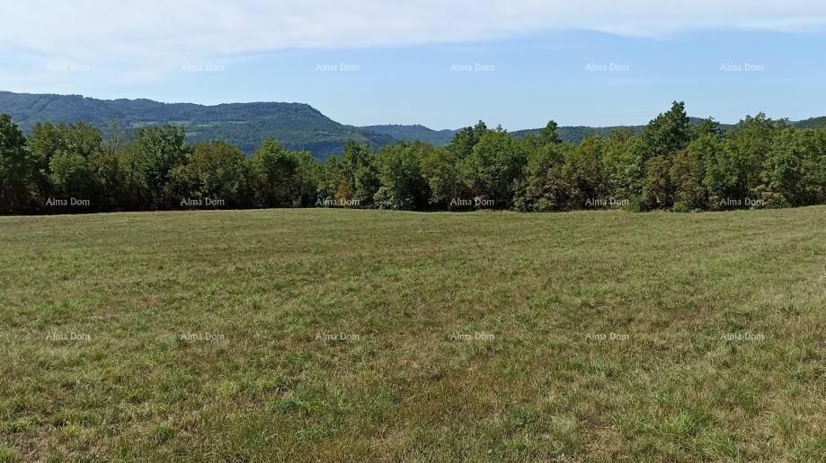 Terreno edificabile 1.650 m² - Buzet, Istria