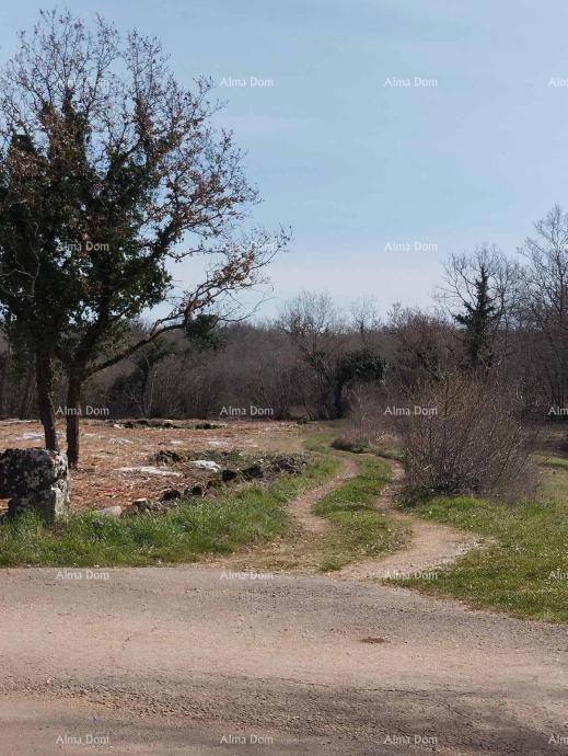 Terreno di 2765 m² in posizione tranquilla – Poreč