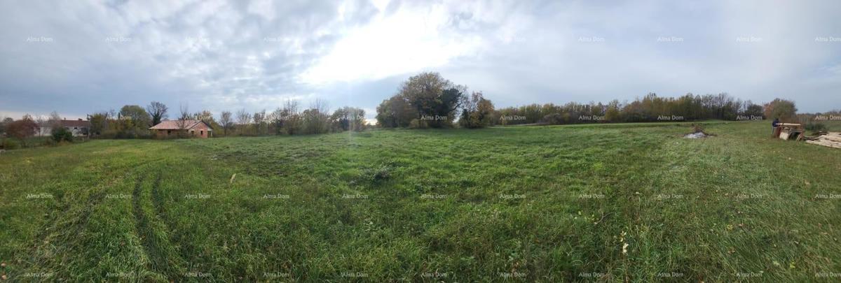 Vendita di un terreno edificabile con permesso di costruzione per la realizzazione di una moderna casa familiare, nei pressi di Barban!