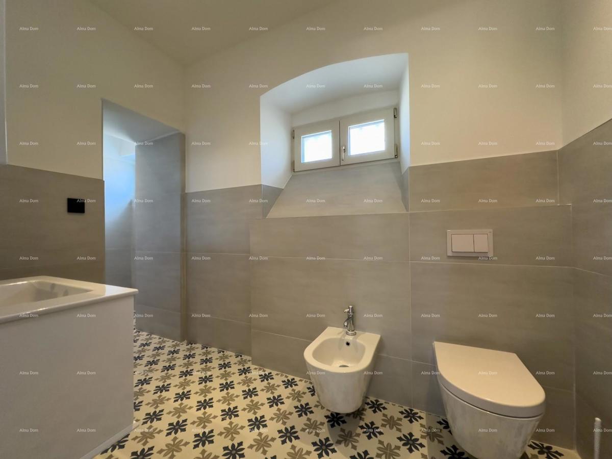 The translation of   Istra  Barban