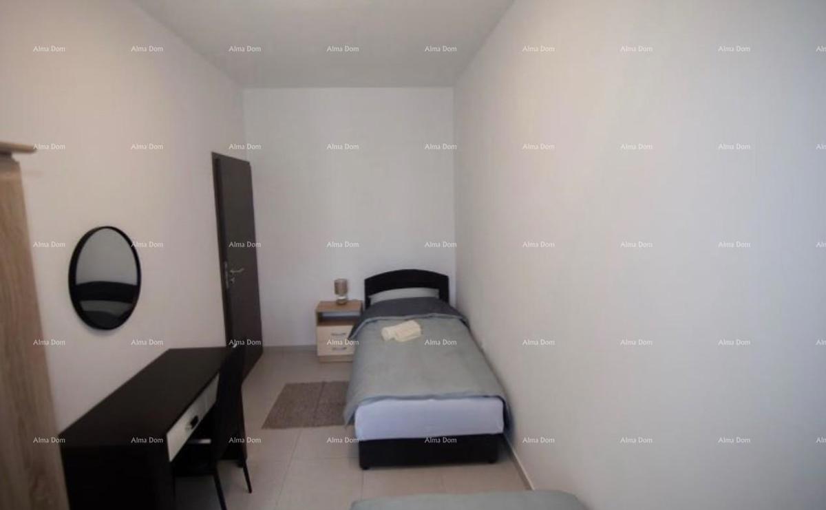 The translation of the title