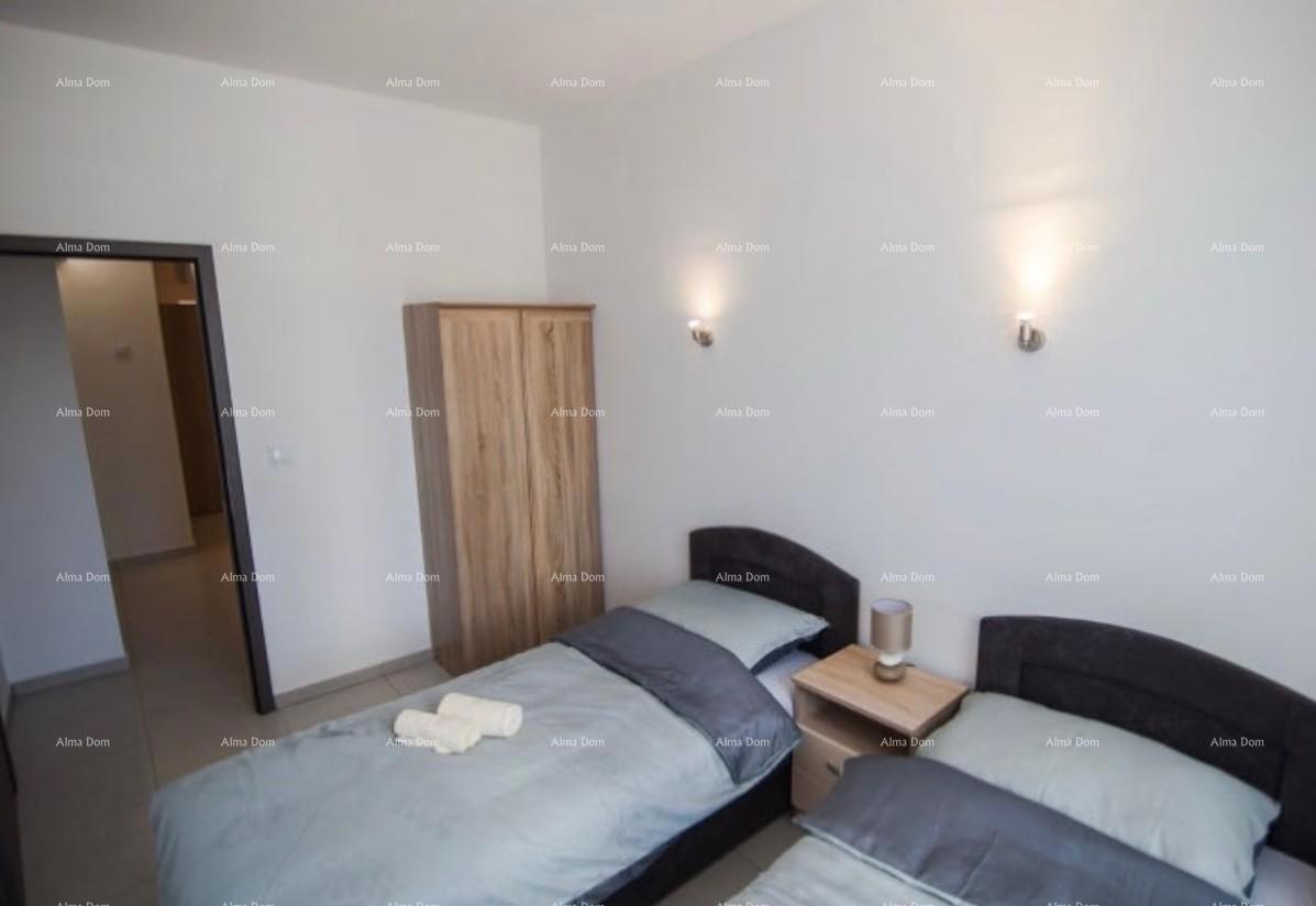 The translation of the title