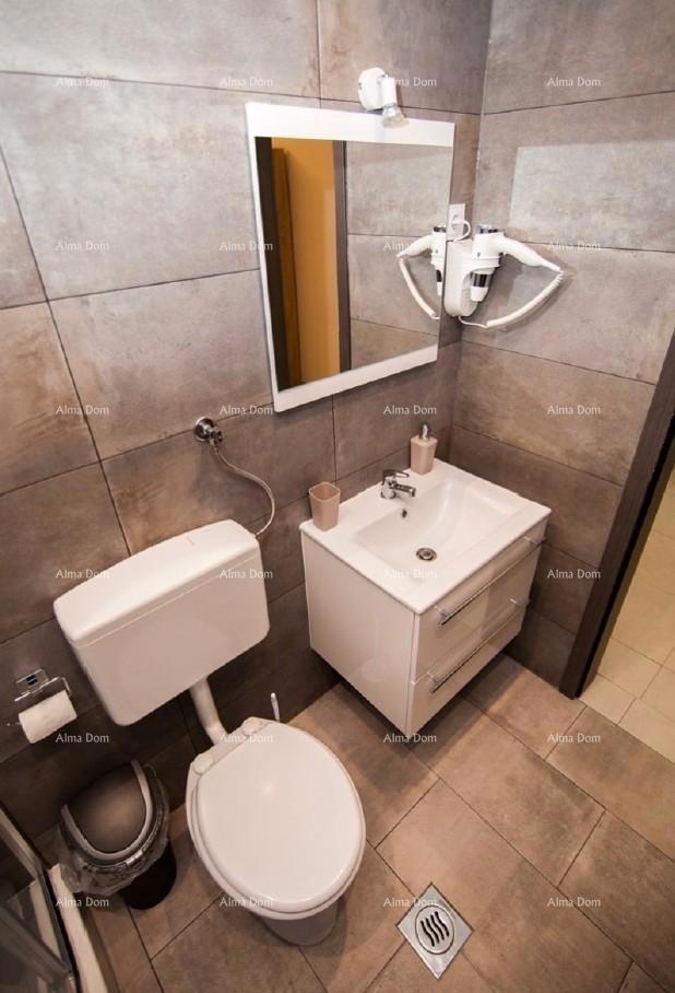 The translation of the title