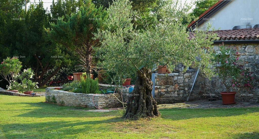 UMAGO, casa di 144 m² con ampio giardino e cucina estiva, completamente ristrutturata!