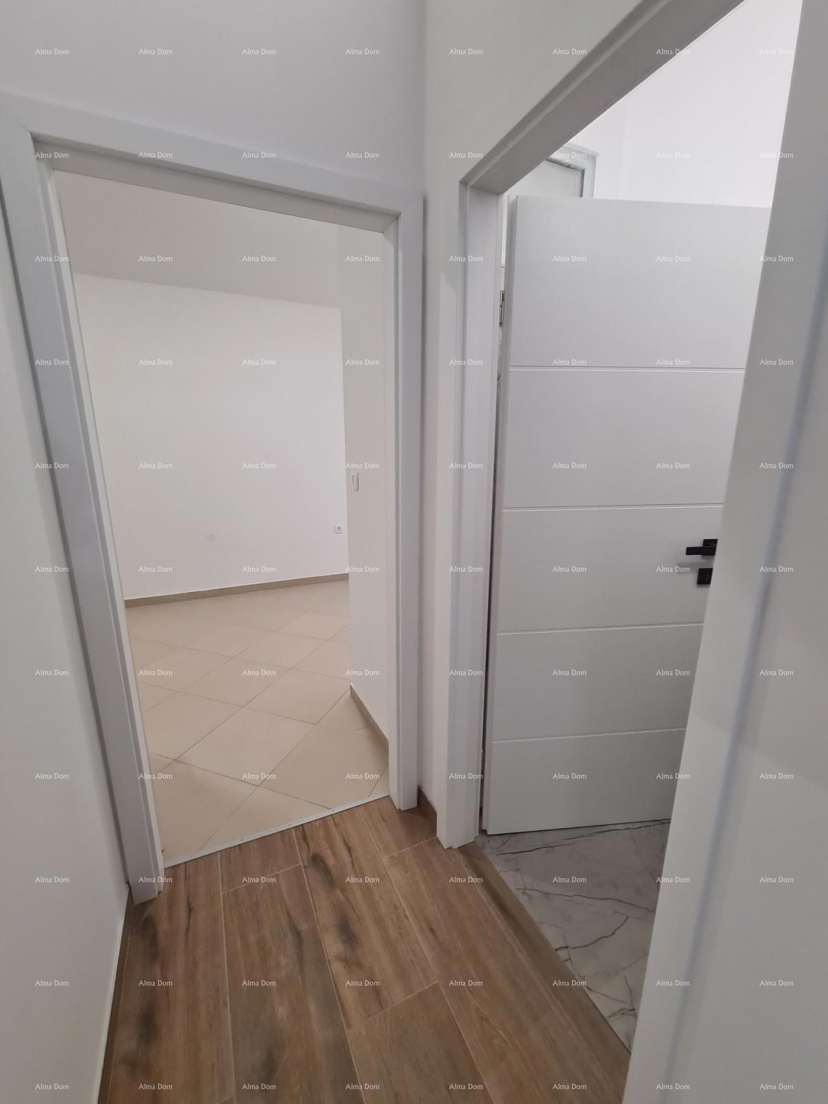 Istra. Pula. Veli vrh.