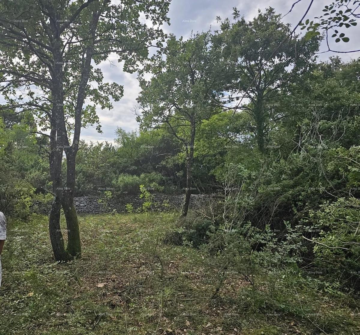 Terreno edificabile e agricolo vicino a Svetvinčent: 11100 m² per il tuo investimento