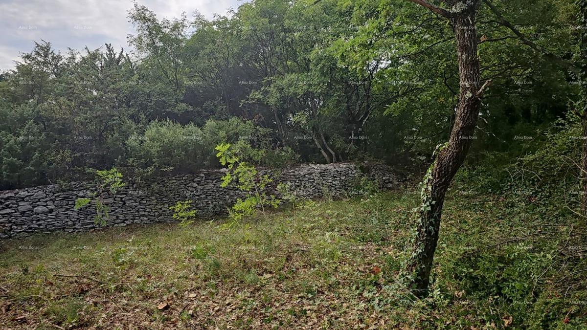 Terreno edificabile e agricolo vicino a Svetvinčent: 11100 m² per il tuo investimento