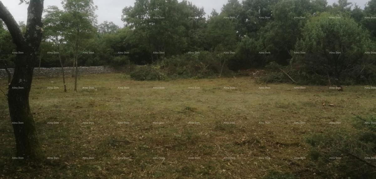 Terreno edificabile e agricolo vicino a Svetvinčent: 11100 m² per il tuo investimento