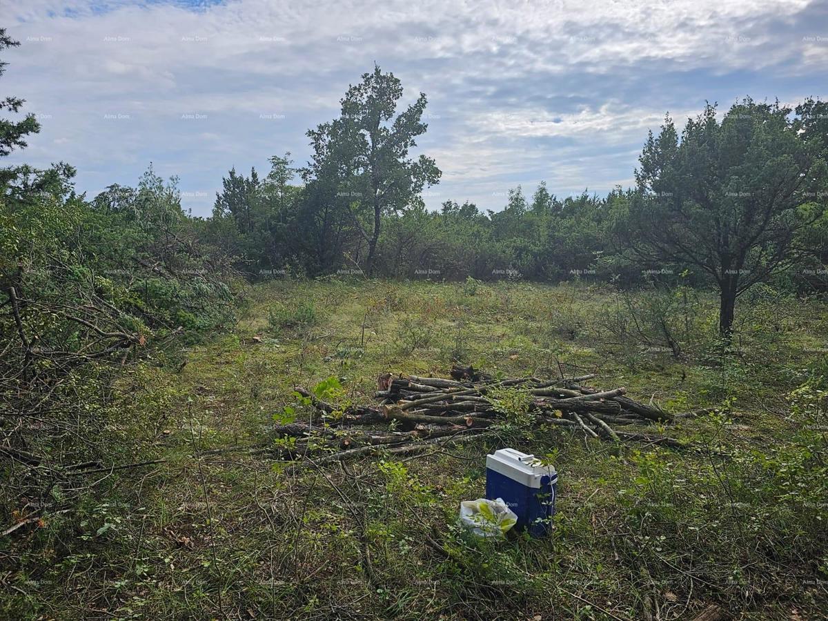 Terreno edificabile e agricolo vicino a Svetvinčent: 11100 m² per il tuo investimento