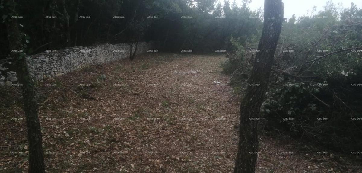 Terreno edificabile e agricolo vicino a Svetvinčent: 11100 m² per il tuo investimento