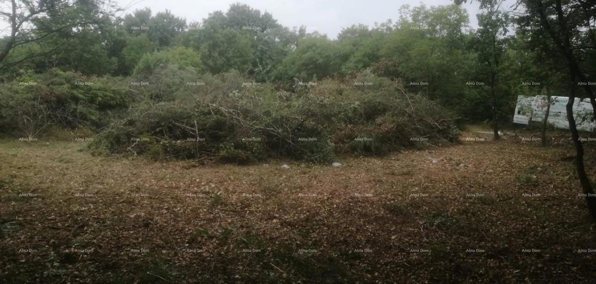 Terreno edificabile e agricolo vicino a Svetvinčent: 11100 m² per il tuo investimento