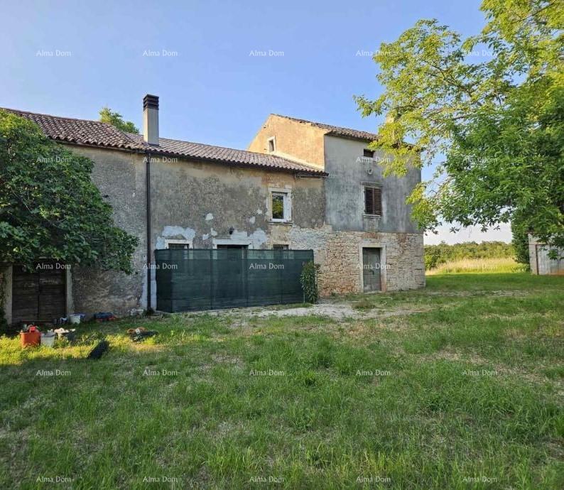 VIŠNJAN, COMPLESSO CON TRE CASE IN PIETRA E AMPIO TERRENO