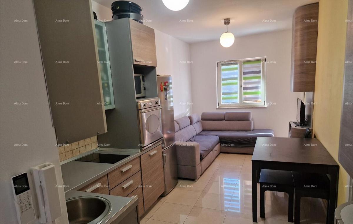 Appartamento Novigrad