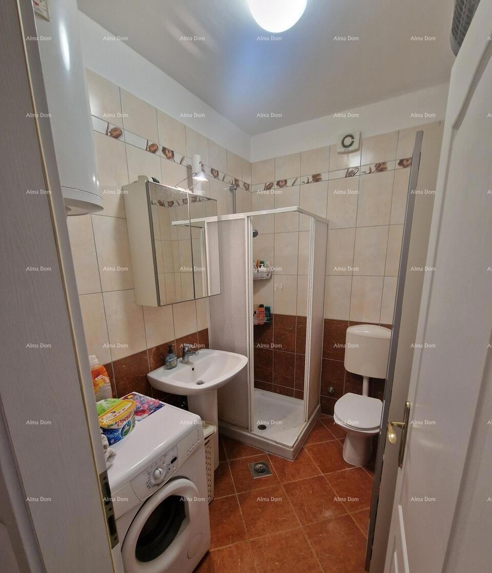 Appartamento Novigrad