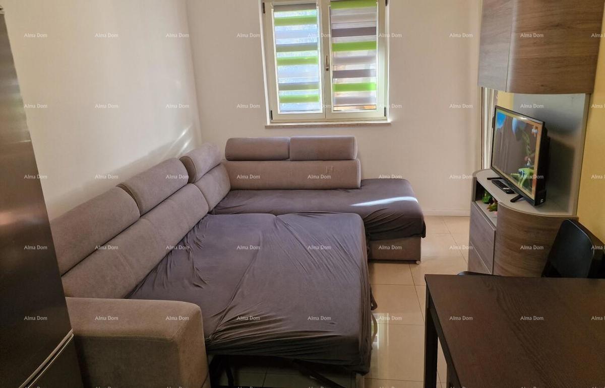 Appartamento Novigrad