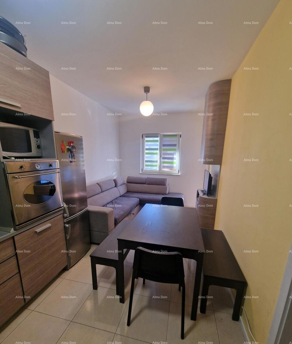 Appartamento Novigrad